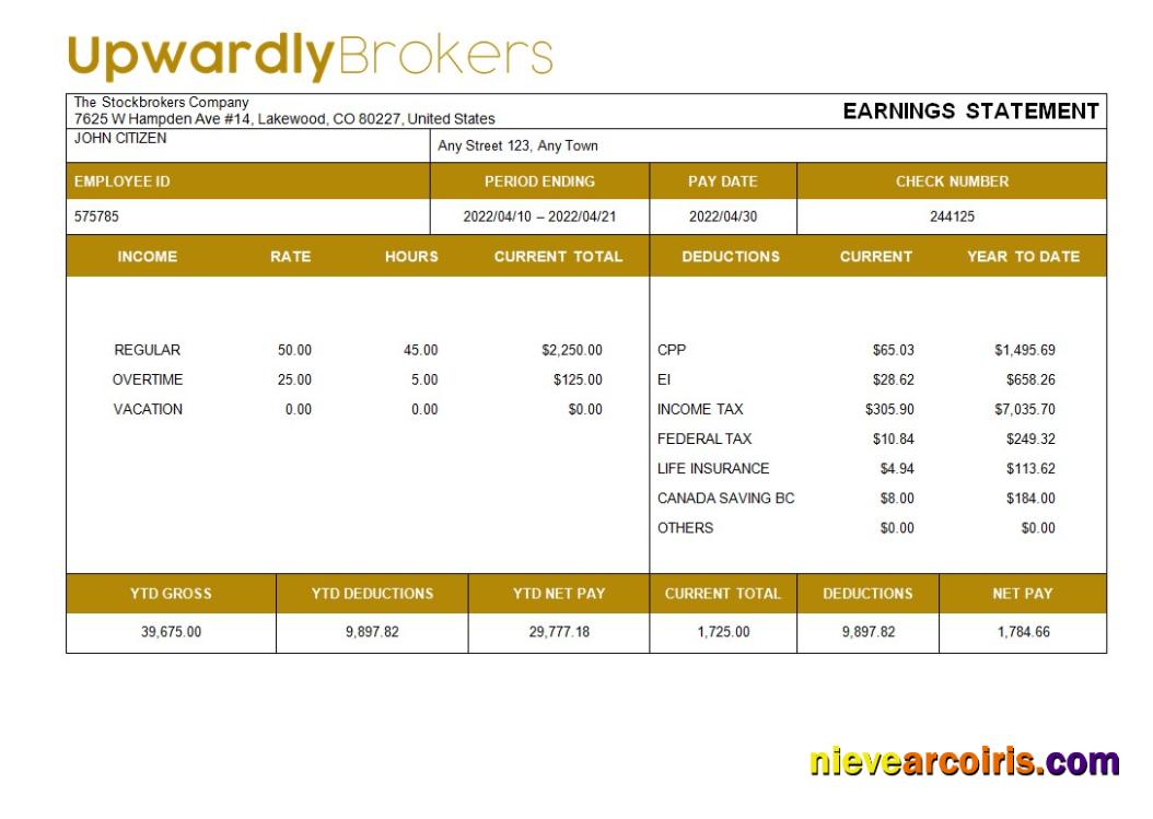 stockbrokers company payslip